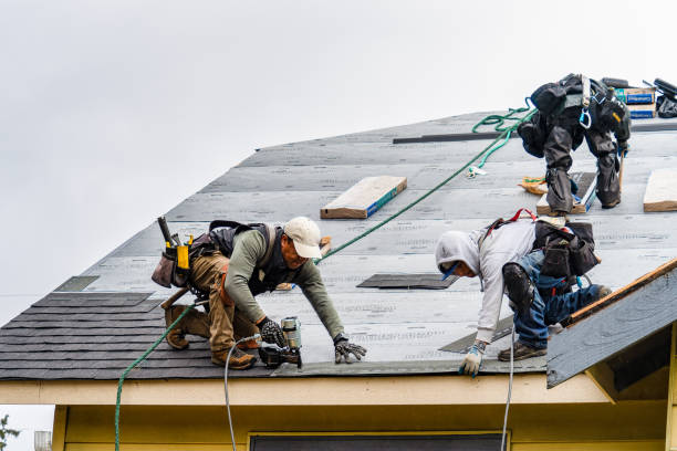 Professional Roofing technician working in New Market, VA